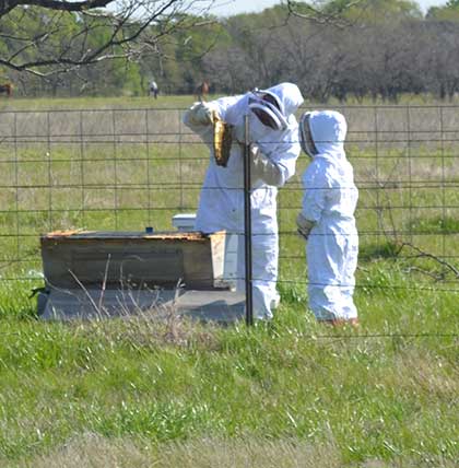 Beekeeping with my kids.