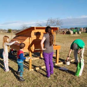 Painting the first chicken coop.